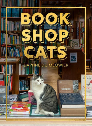 Bookshop Cats - Saturday Morning