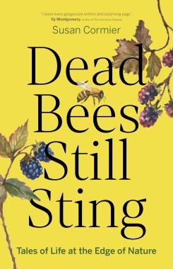 Dead Bees Still Sting - Saturday Morning