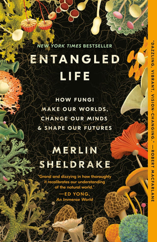 Entangled Life - Saturday Morning