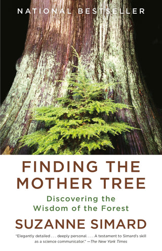 Finding the Mother Tree - Saturday Morning