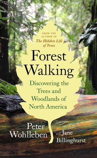 Forest Walking - Saturday Morning