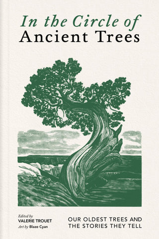 In the Circle of Ancient Trees - Saturday Morning
