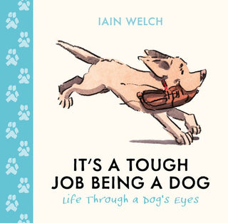 It's a Tough Job Being a Dog: Life Through a Dog’s Eyes - Saturday Morning