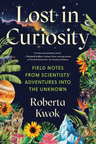 Lost in Curiosity - Saturday Morning