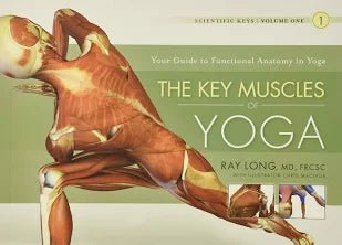 Open media 1 in modal Add to list The Key Muscles of Yoga: Scientific Keys, Volume I - Saturday Morning
