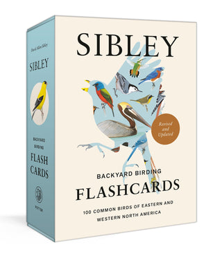 Sibley Backyard Birding Flashcards - Saturday Morning