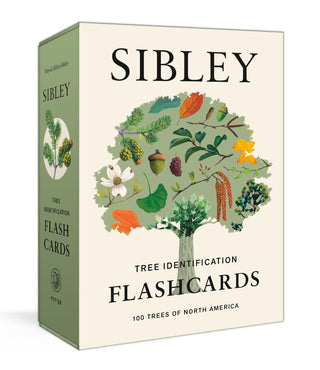 Sibley Tree Identification Flashcards - Saturday Morning