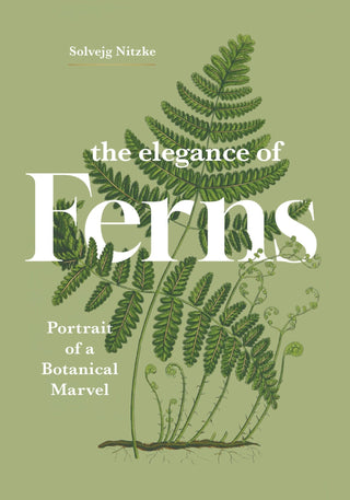 The Elegance of Ferns - Saturday Morning