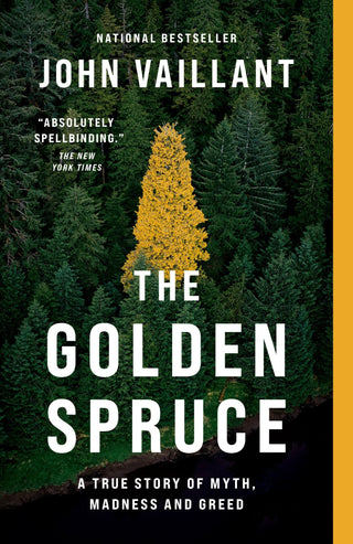 The Golden Spruce - Saturday Morning