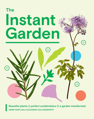 The Instant Garden - Saturday Morning