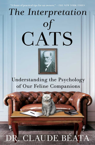 The Interpretation of Cats - Saturday Morning