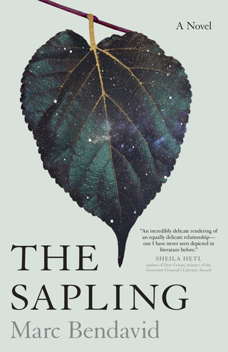 The Sapling - Saturday Morning