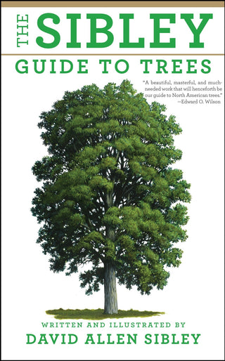 The Sibley Guide to Trees - Saturday Morning