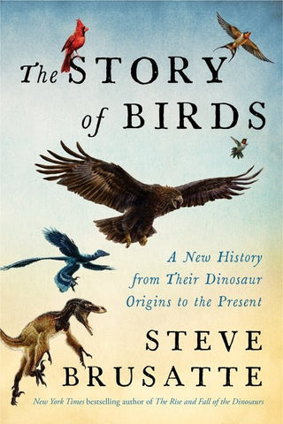 The Story of Birds - Saturday Morning