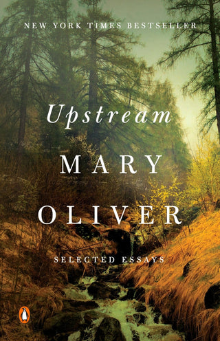 Upstream - Saturday Morning
