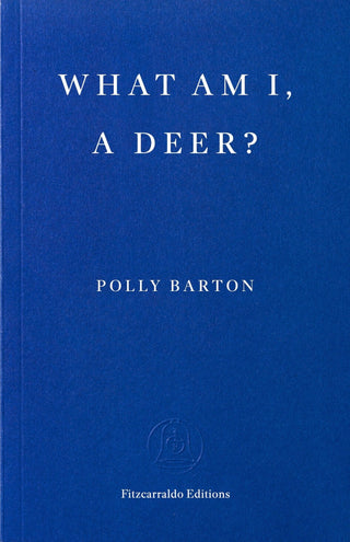 What Am I, A Deer? - Saturday Morning