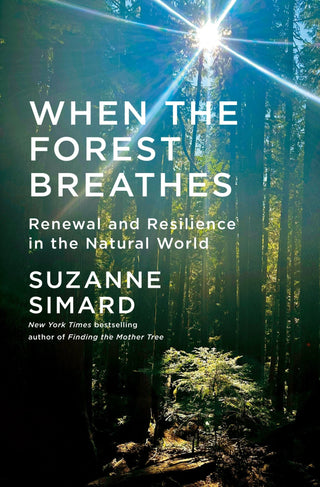 When the Forest Breathes - Saturday Morning